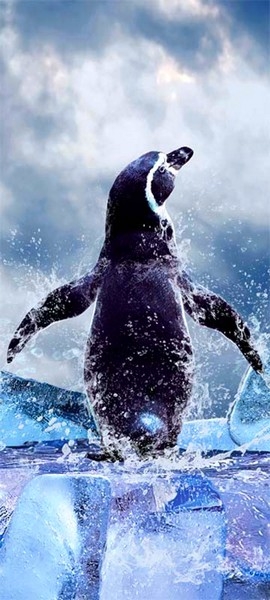Türtapete Pinguin 95 x 210 cm